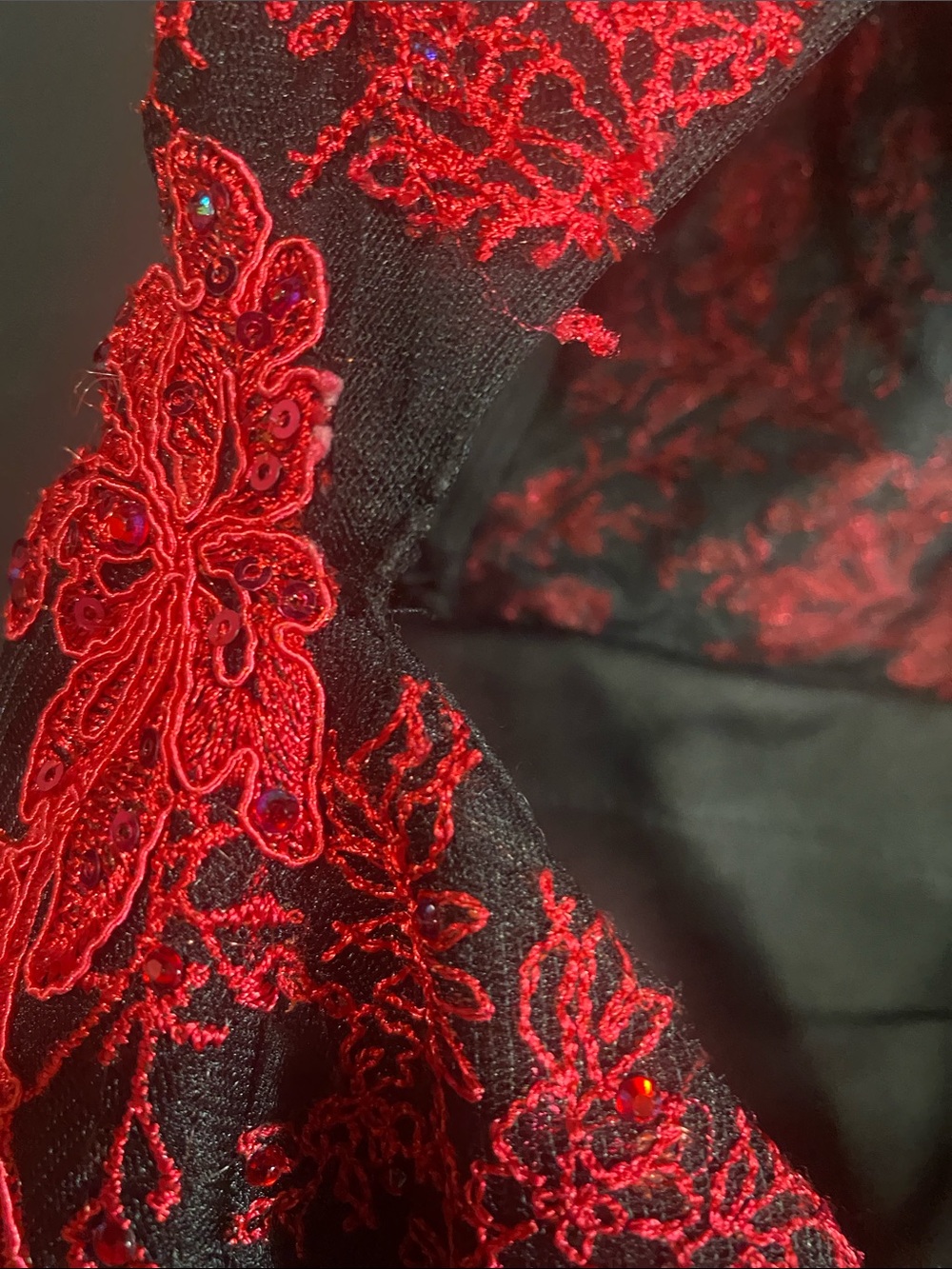 Red Floral Lace Maxi Dress with Black Sheer Base - Picture 4 of 6